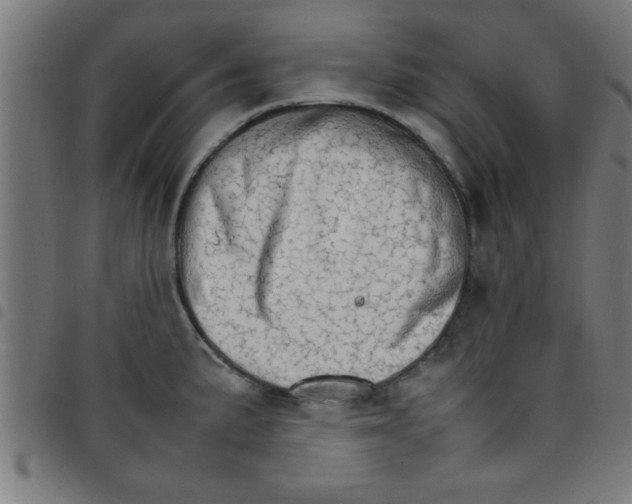 X0000098041191200804251032