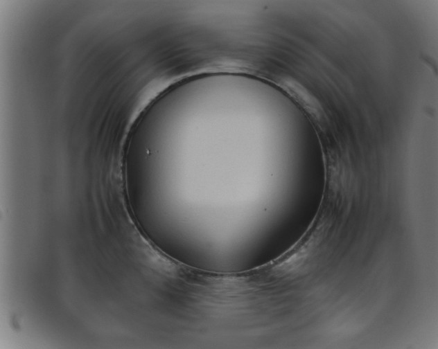 X0000098041192200804251032