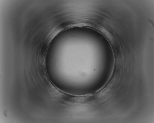 X0000098041193200804251032