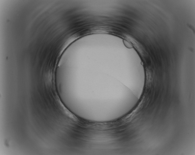 X0000098041194200804251032