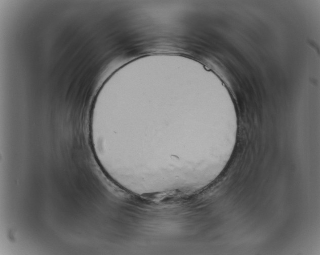 X0000098041195200804251032