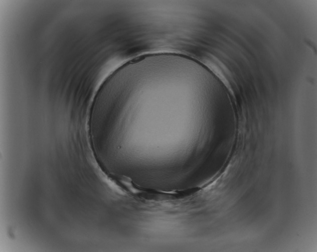 X0000098041197200804251032