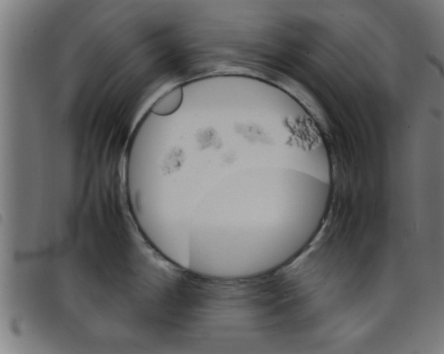 X0000098041198200804251032