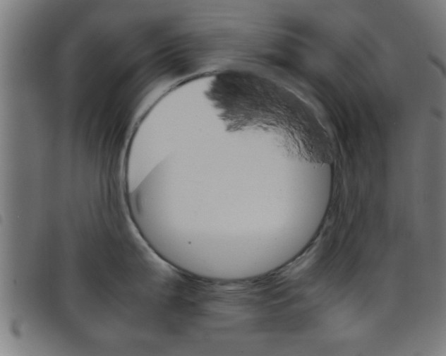 X0000098041199200804251032