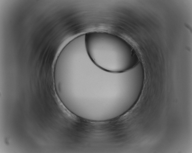 X0000098041200200804251032