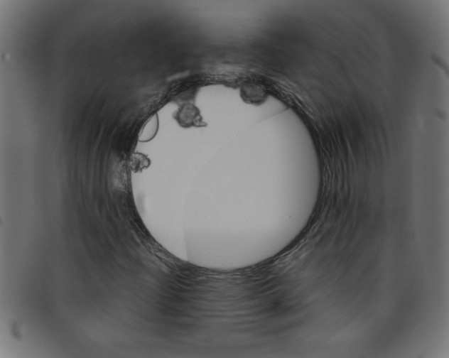 X0000098041204200804251031