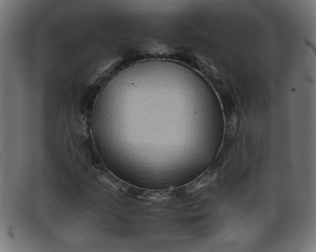 X0000098041205200804251031