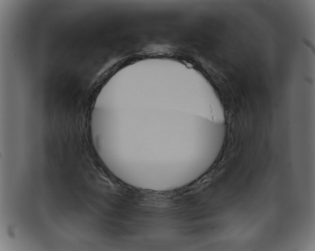 X0000098041206200804251031