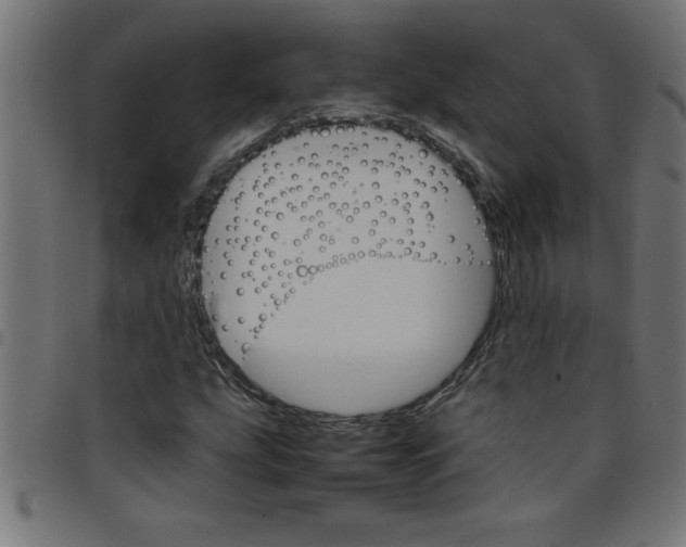 X0000098041207200804251031