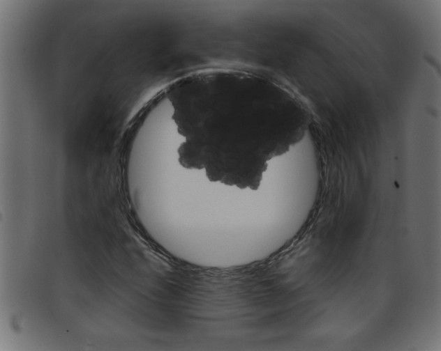 X0000098041208200804251031