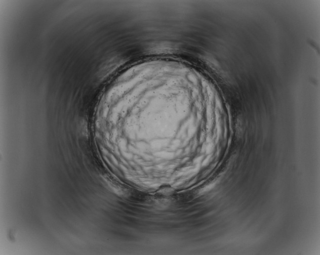 X0000098041209200804251031