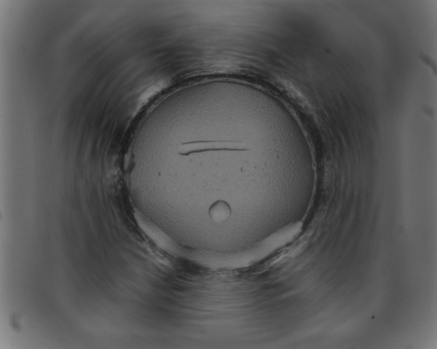 X0000098041210200804251031