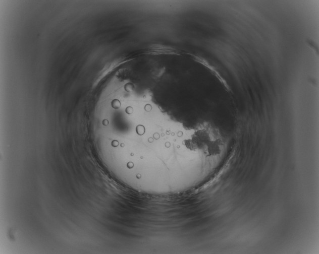 X0000098041211200804251031