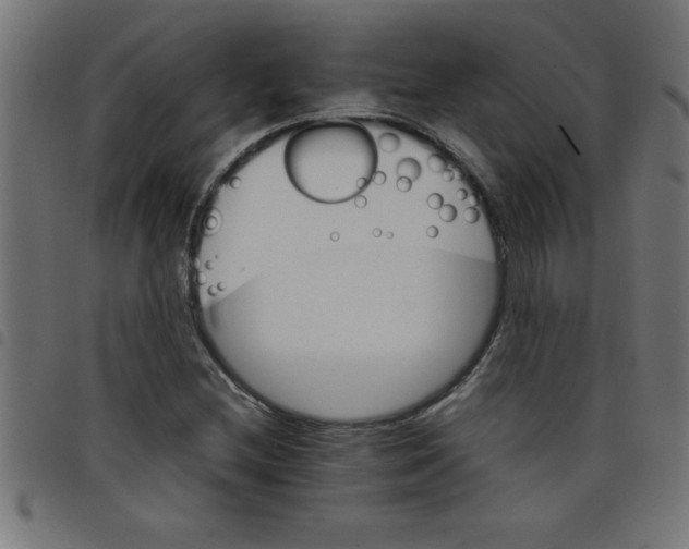 X0000098041212200804251031