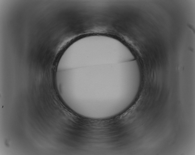 X0000098041214200804251031