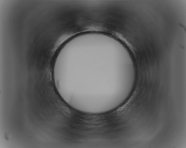 X0000098041215200804251031