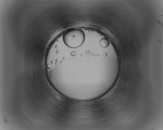 X0000098041216200804251031