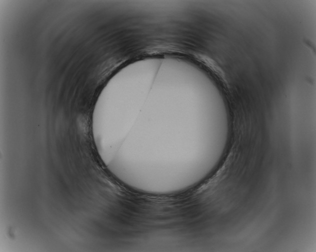 X0000098041217200804251031