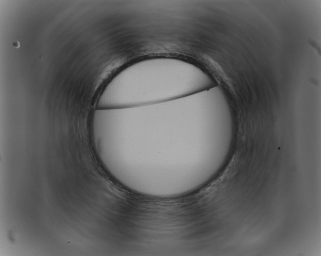 X0000098041218200804251031