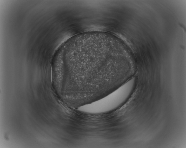 X0000098041219200804251031