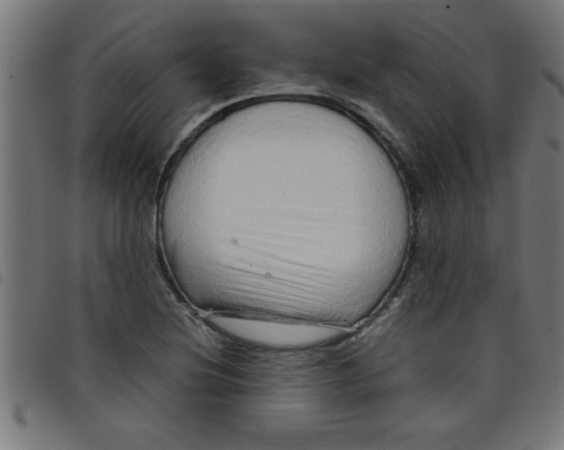 X0000098041220200804251031