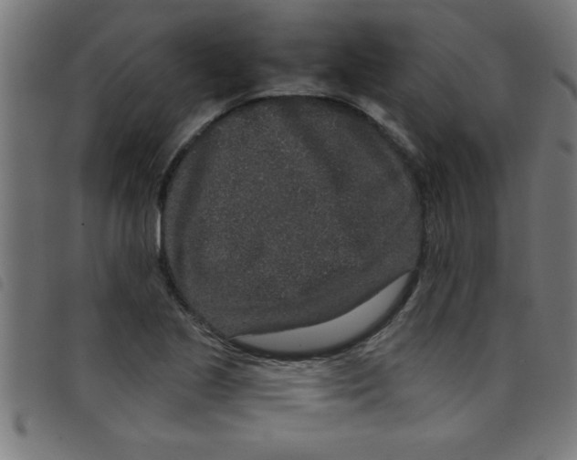 X0000098041221200804251031