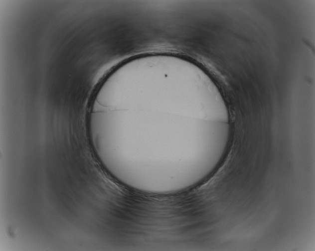 X0000098041222200804251031