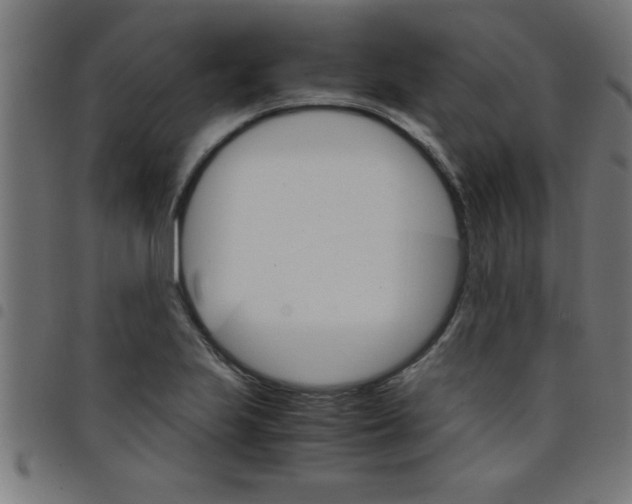 X0000098041223200804251031