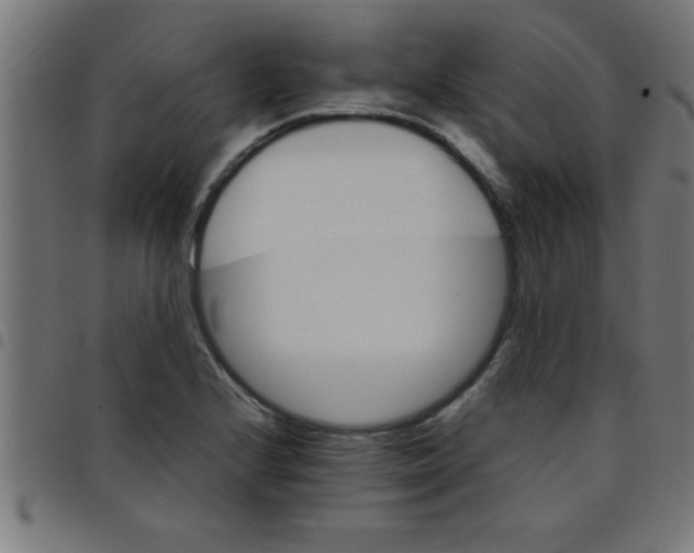 X0000098041224200804251031