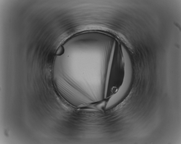 X0000098041225200804251031