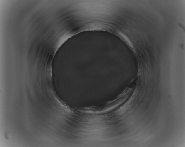 X0000098041226200804251031