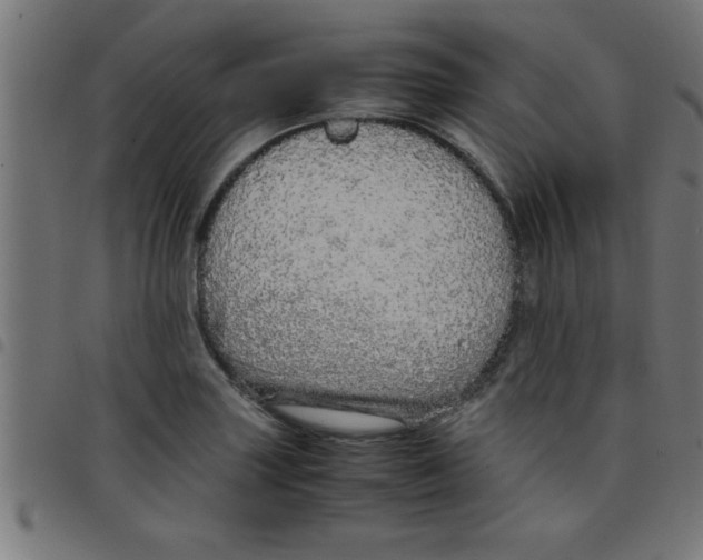 X0000098041227200804251031