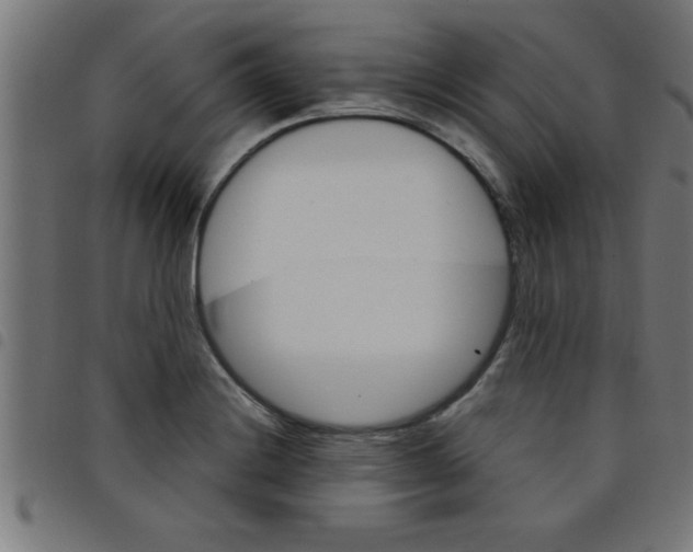 X0000098041228200804251032