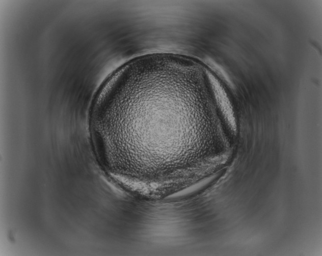 X0000098041230200804251032