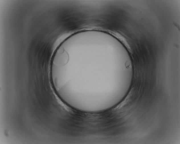 X0000098041231200804251032