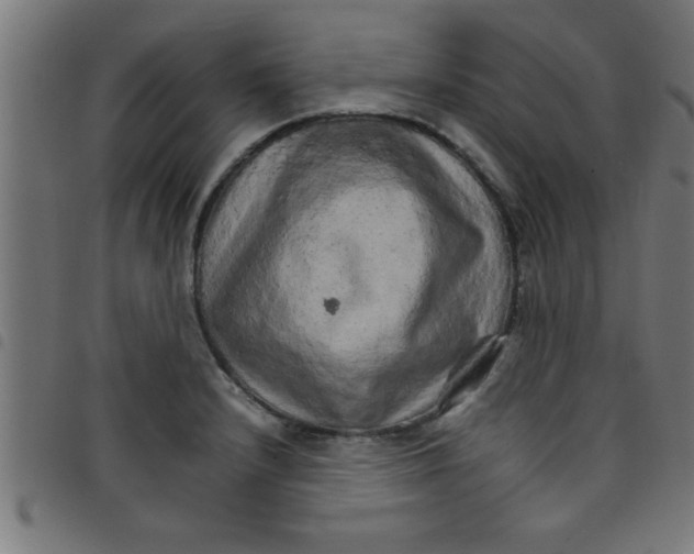 X0000098041232200804251032