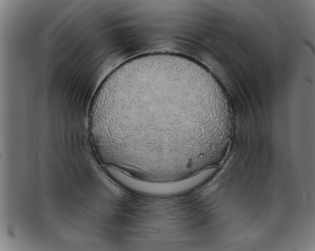 X0000098041234200804251032