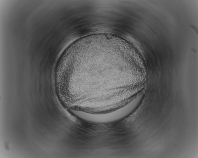 X0000098041235200804251032