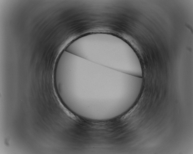 X0000098041237200804251032