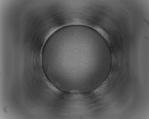 X0000098041238200804251032