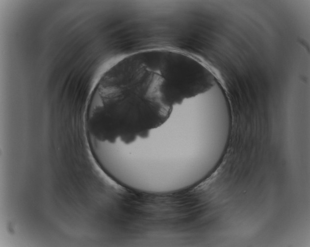 X0000098041239200804251032