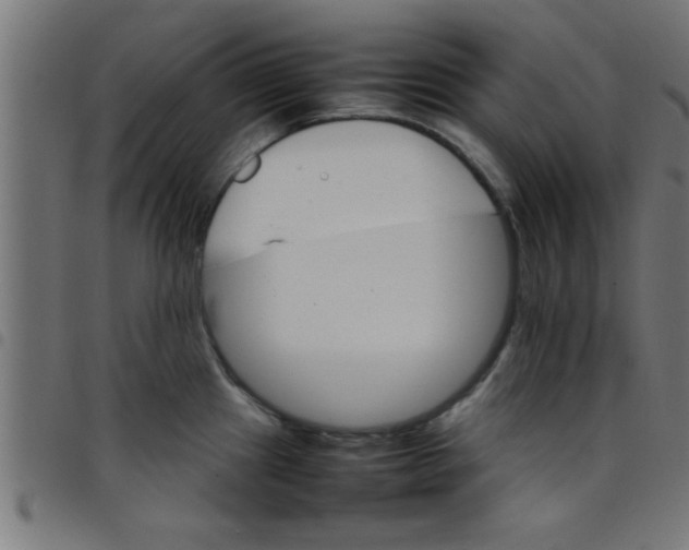 X0000098041241200804251032