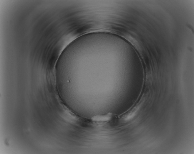 X0000098041242200804251032