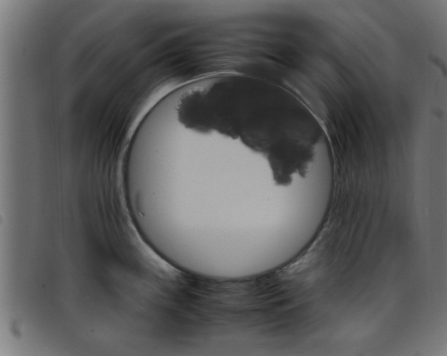 X0000098041243200804251032