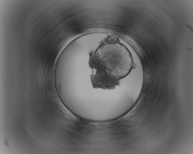 X0000098041244200804251032