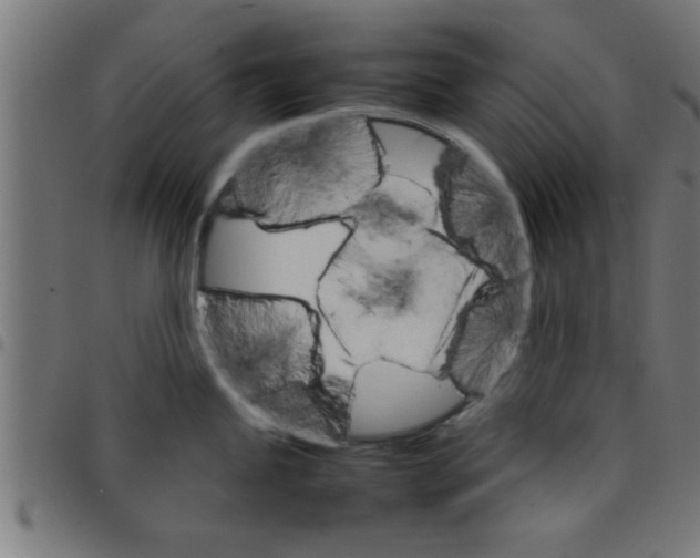 X0000098041245200804251032