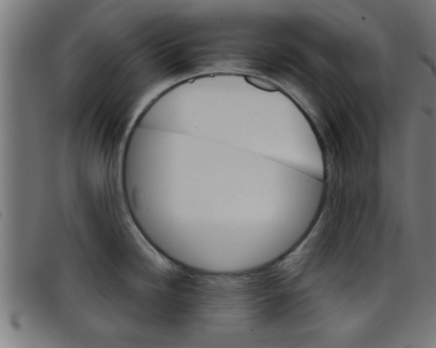 X0000098041246200804251032