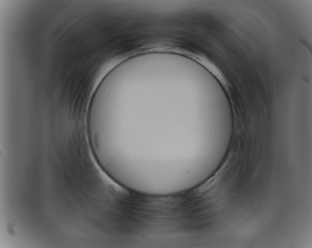 X0000098041247200804251032