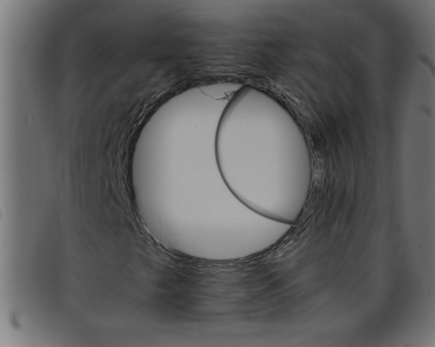 X0000098041249200804251031