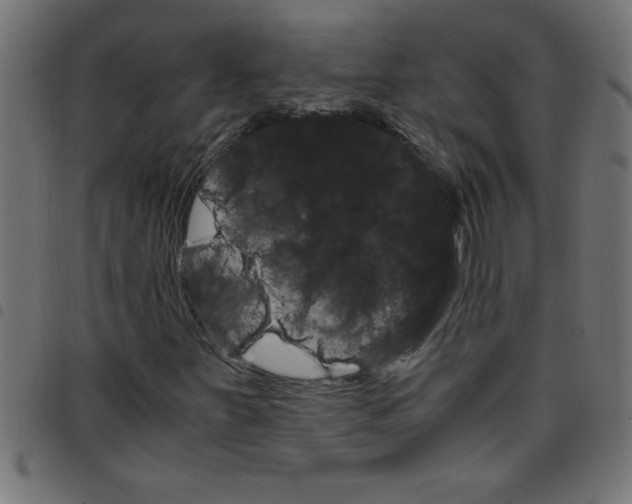 X0000098041251200804251031